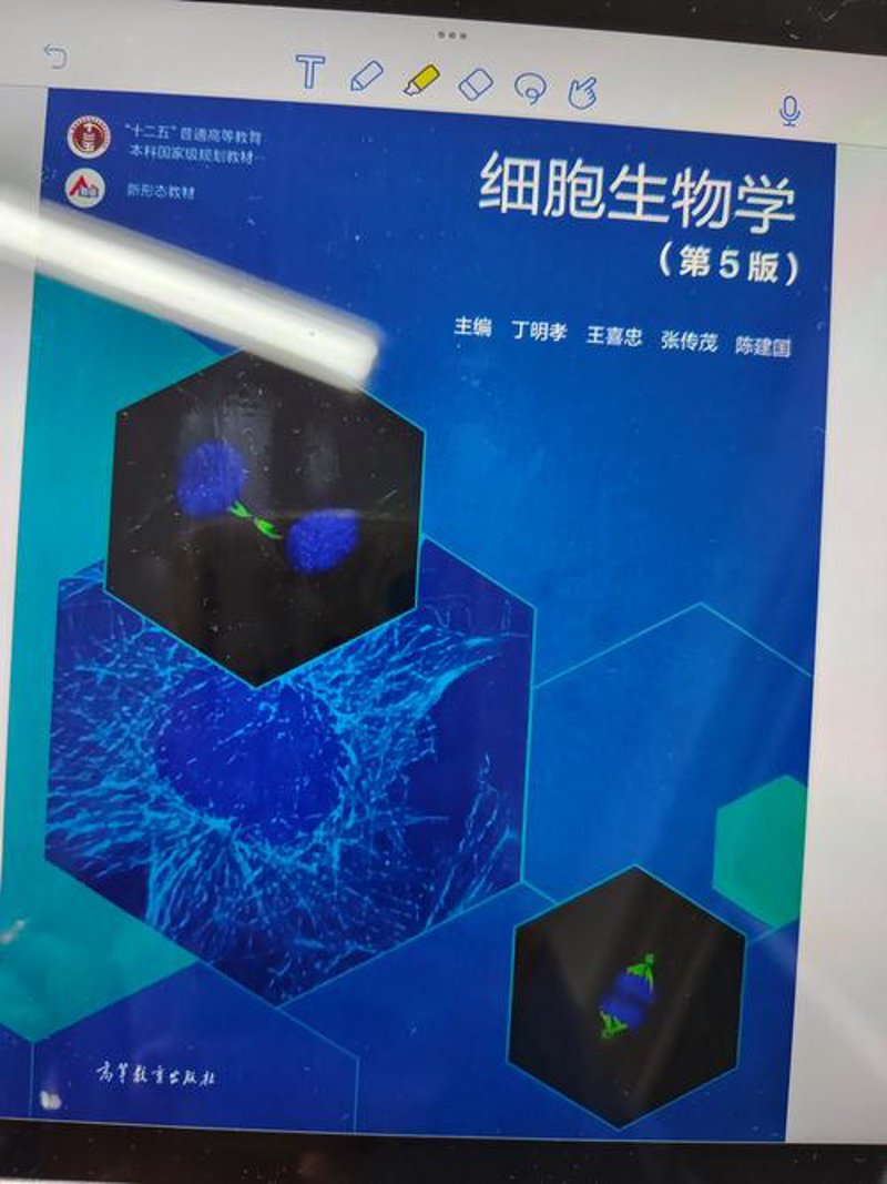 细胞生物科技——未来医疗的新图景