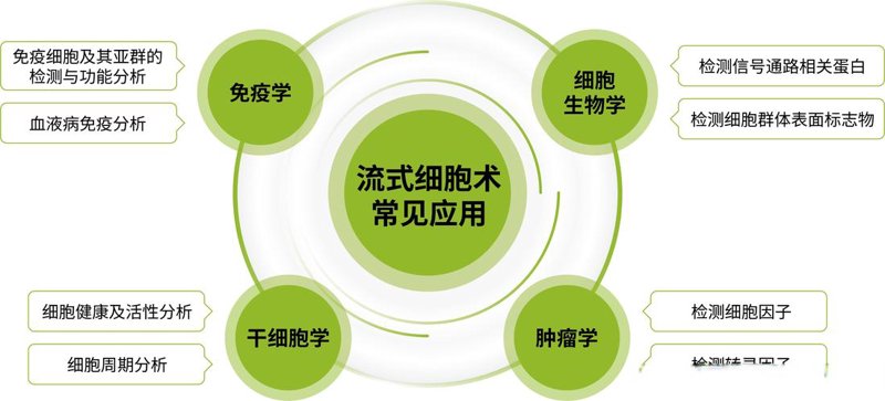 生物科技公司的时代前沿：探索未来医疗新希望