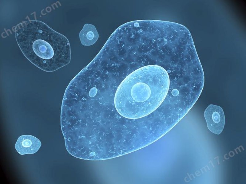 细胞技术研发：开启生命科学新篇章