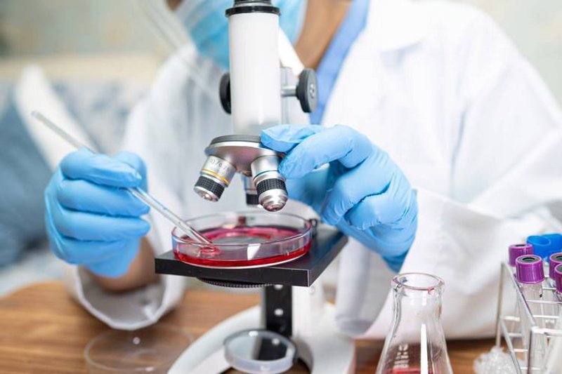 细胞生物科技：开启生命科学的新篇章